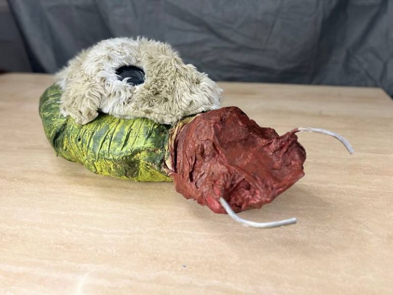 AMIGOS: Picasso Bull Caterpillar